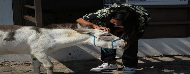 Open House CENTRO HOLÍSTICO